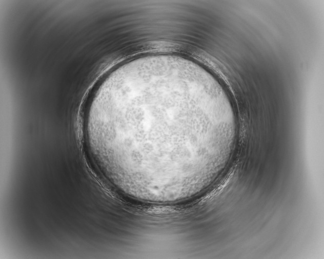 X0000093500835200711021008