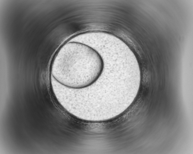 X0000093500836200711021008