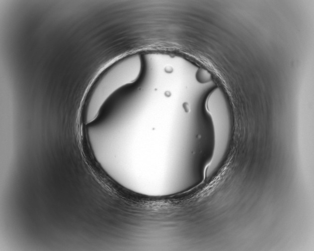 X0000093500838200711021008
