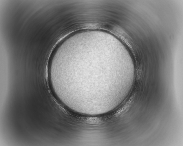 X0000093500839200711021008