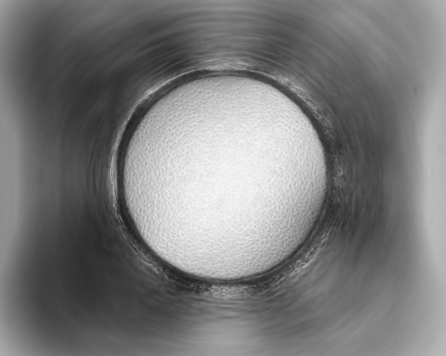 X0000093500840200711021008