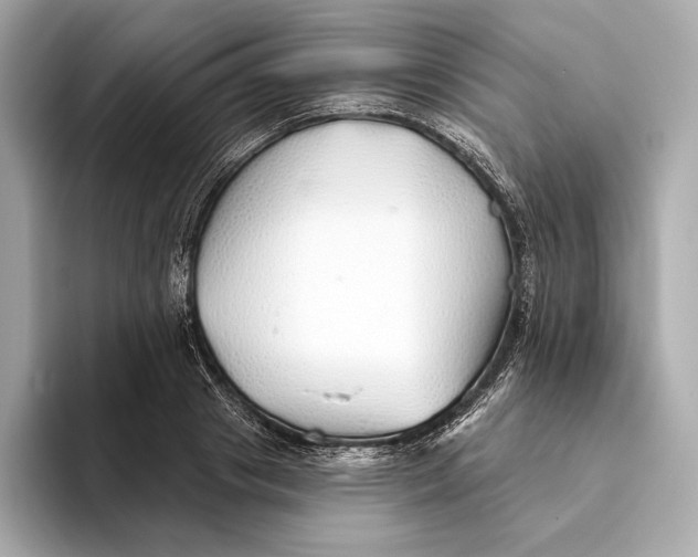 X0000093500841200711021008