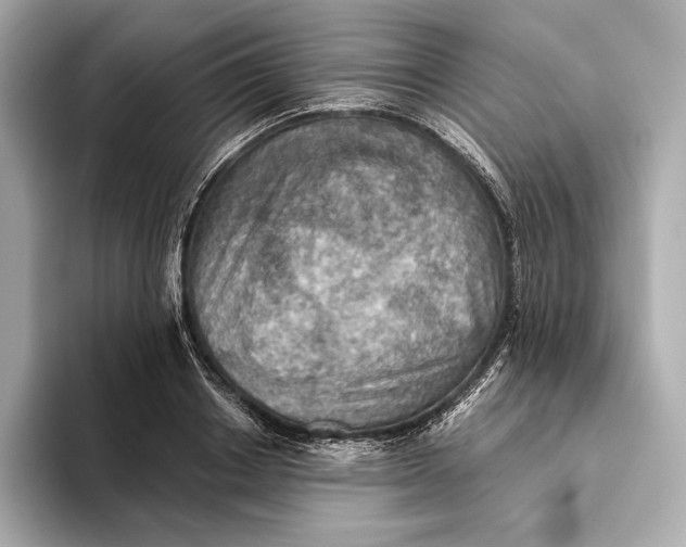 X0000093500842200711021008