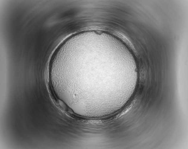 X0000093500844200711021008