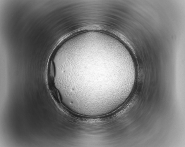 X0000093500845200711021008