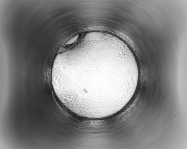 X0000093500849200711021008