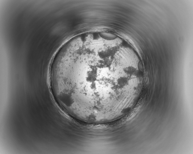 X0000093500851200711021008