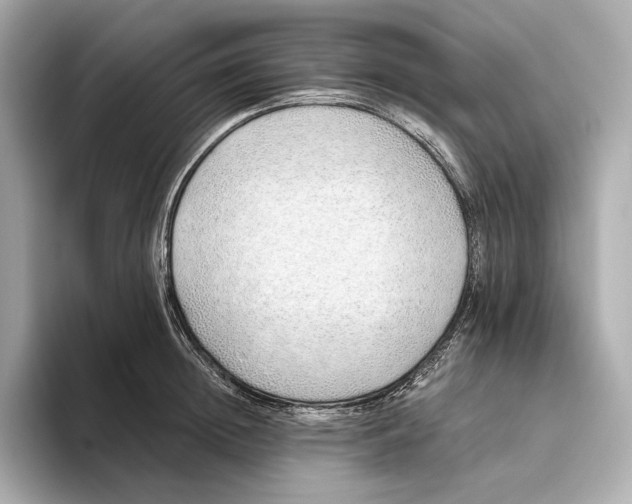 X0000093500852200711021008