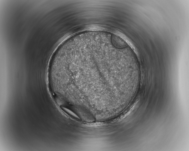X0000093500853200711021008