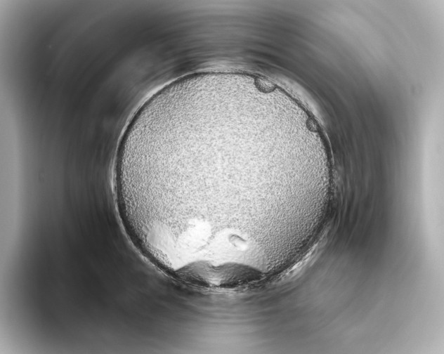X0000093500855200711021008