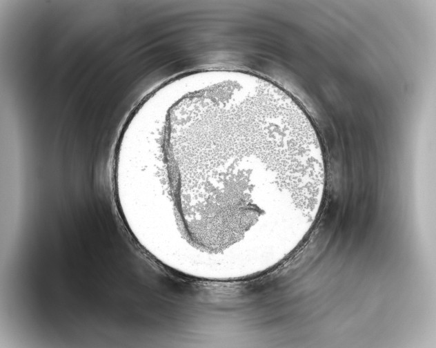 X0000093500856200711021008