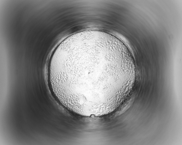 X0000093500859200711021008