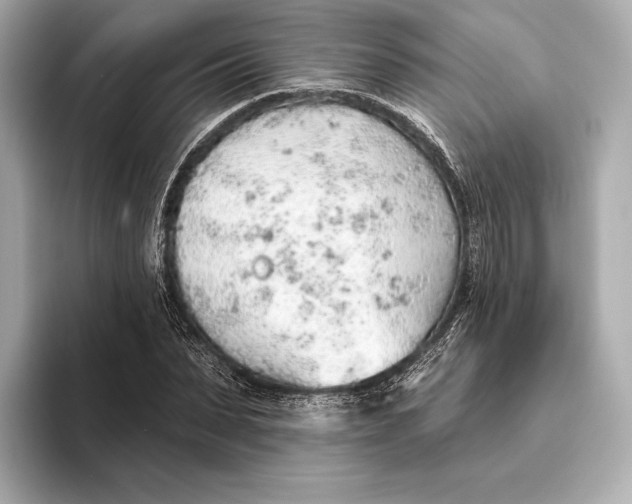 X0000093500879200711021008