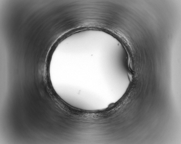 X0000093500880200711021008