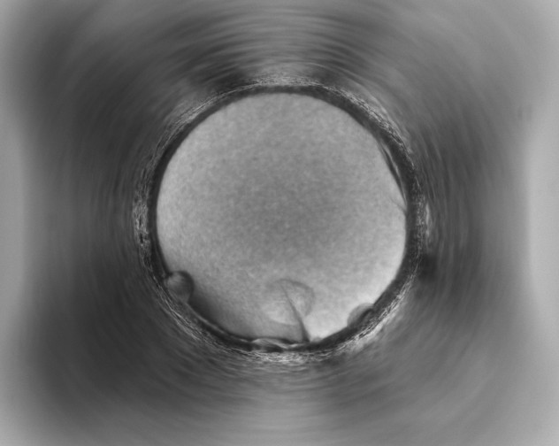 X0000093500881200711021008