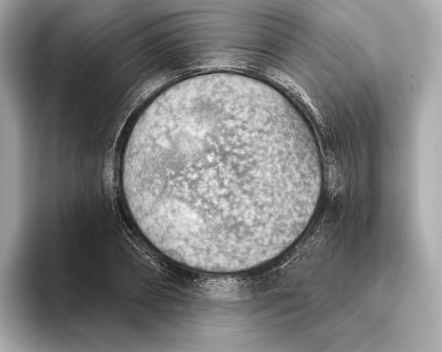 X0000093500882200711021008