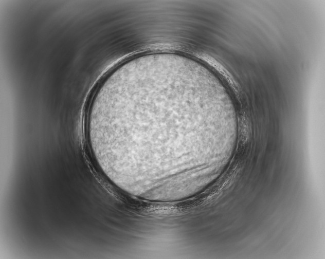 X0000093500886200711021008