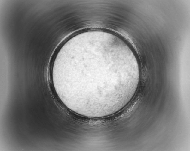 X0000093500887200711021008