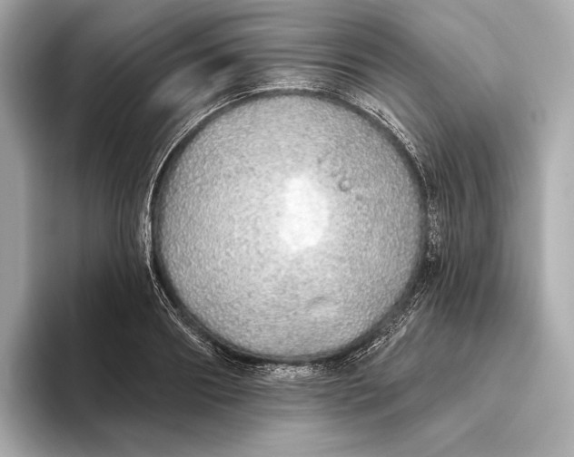 X0000093500890200711021008