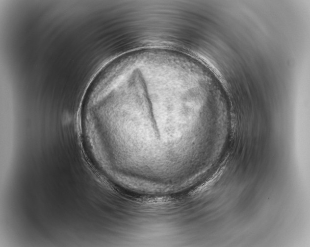 X0000093500891200711021008