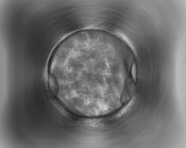 X0000093500892200711021008