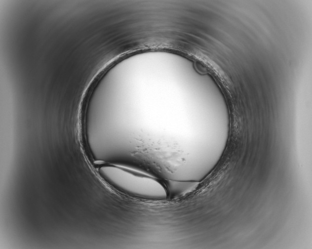 X0000093500894200711021007