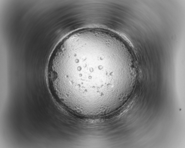 X0000093500895200711021007