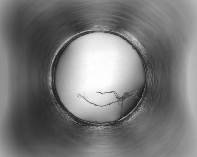 X0000093500896200711021007