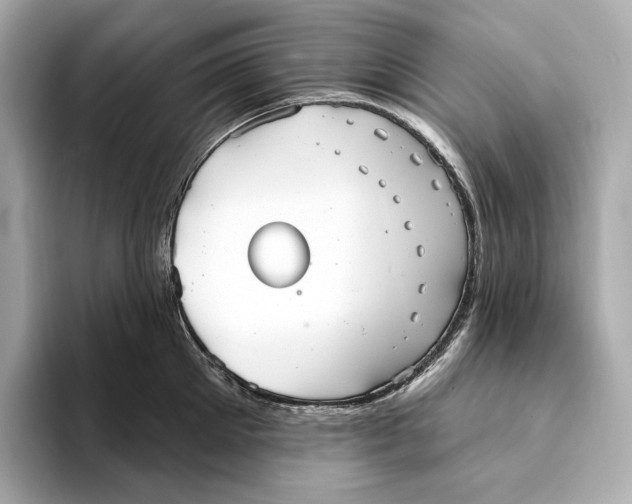 X0000093500905200711021007