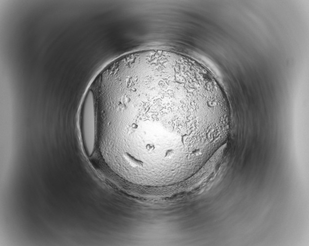 X0000093500907200711021007
