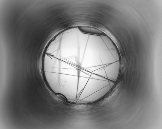 X0000093500909200711021007