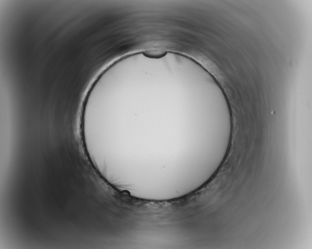 X0000093500912200711021007