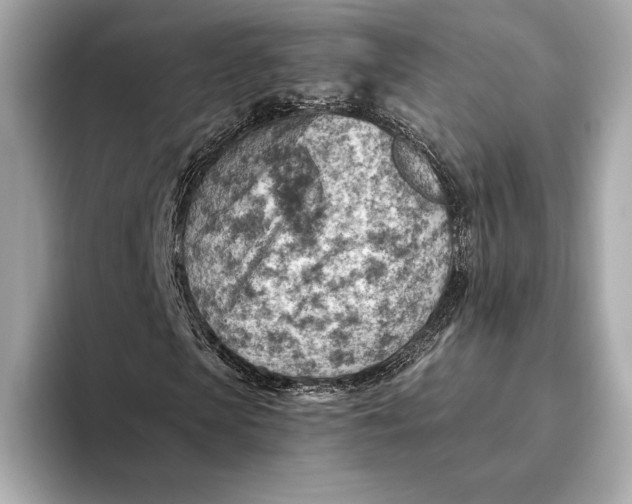 X0000093500913200711021007