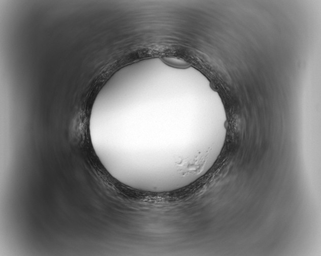 X0000093500914200711021007