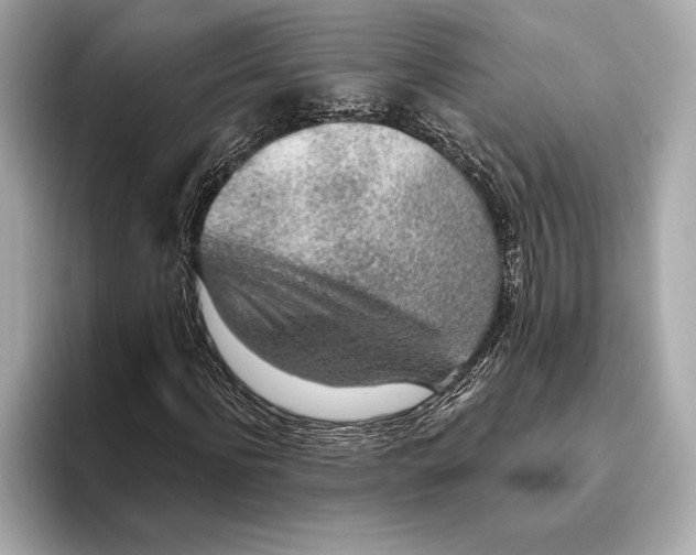 X0000093500916200711021007