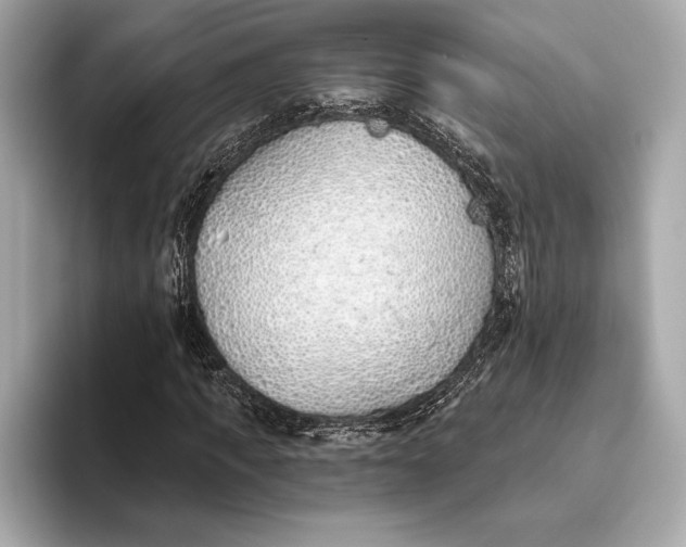 X0000093500917200711021007