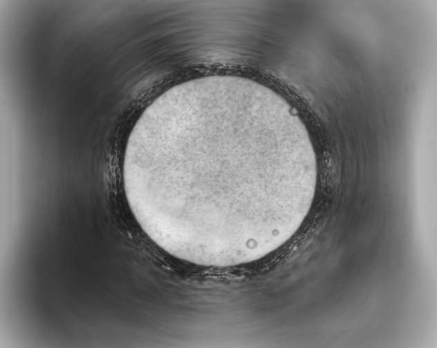X0000093500918200711021007