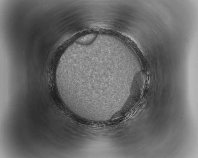 X0000093500919200711021007