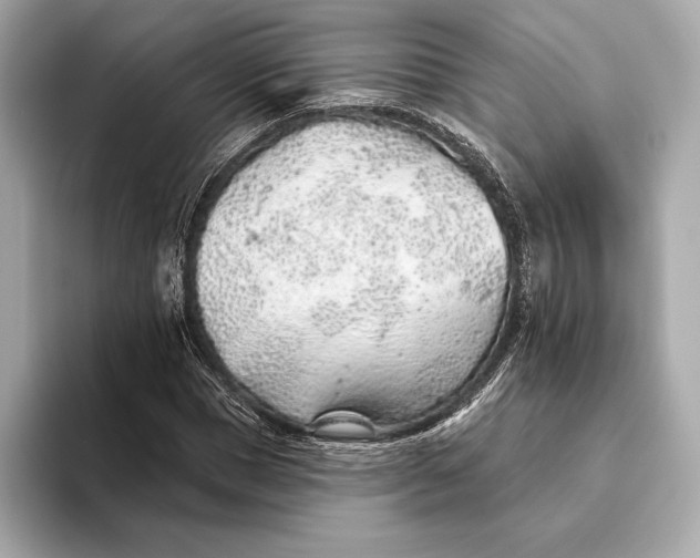 X0000093500921200711021007