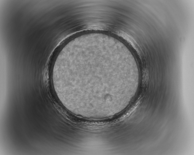 X0000093500923200711021007