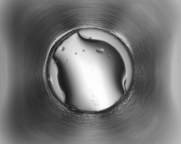 X0000093500928200711021007