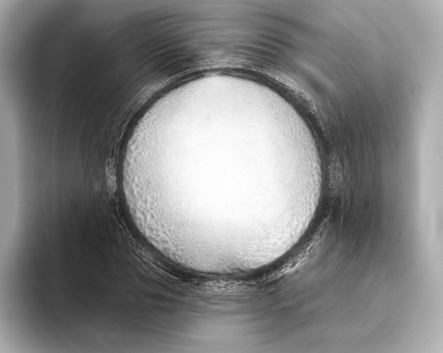 X0000093500929200711021007