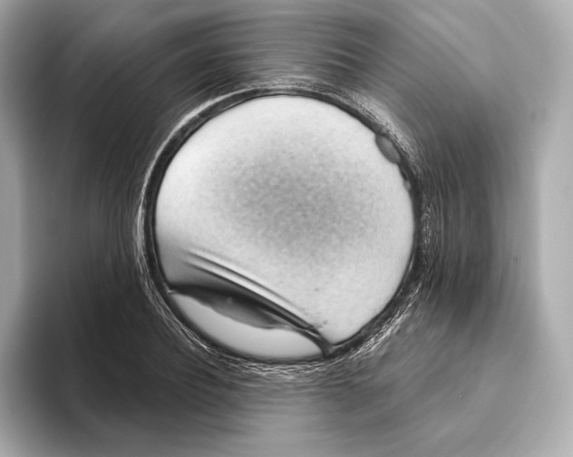 X0000093500932200711021007