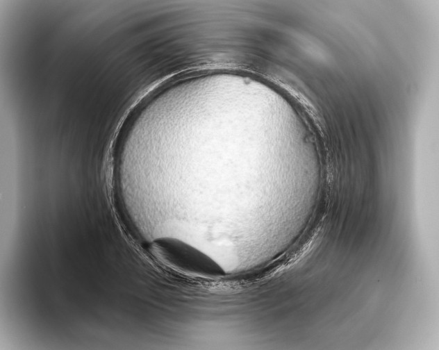 X0000093500933200711021007