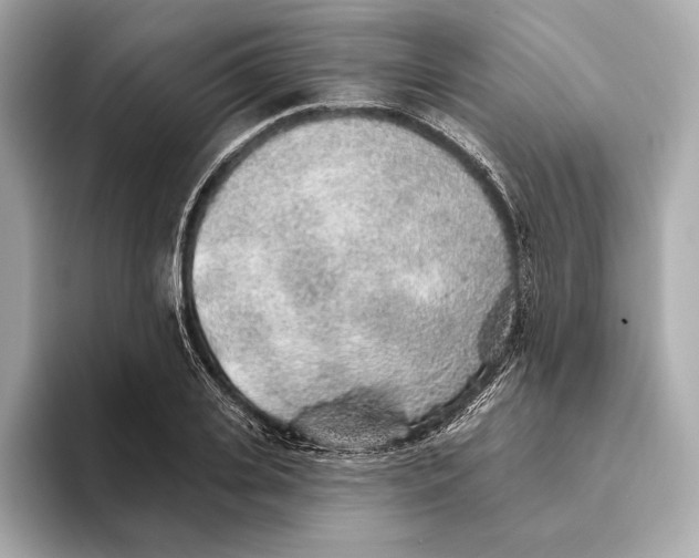 X0000093500935200711021007