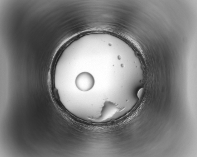 X0000093500936200711021007