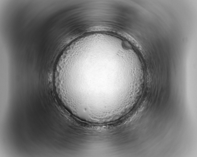X0000093500937200711021007