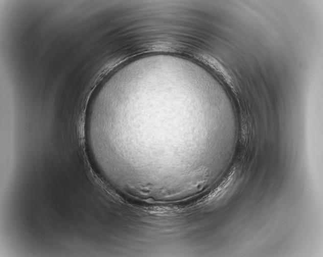 X0000093500938200711021007