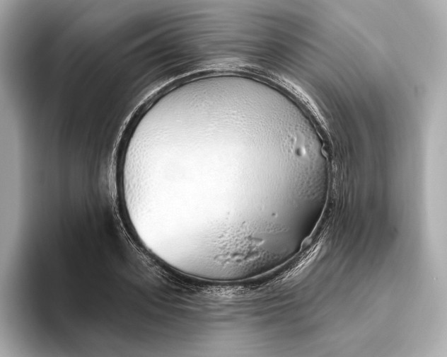 X0000093500939200711021007