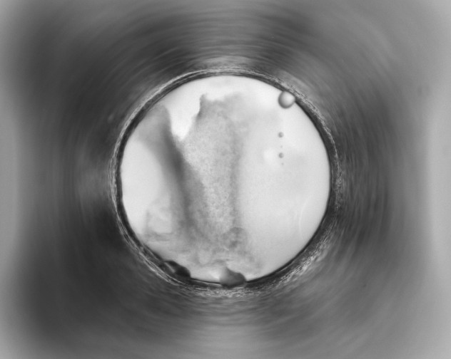 X0000093500941200711021007